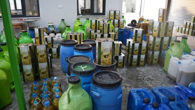 Orhangazi'de zeytin hasat dönemi sona ererken, bu yıl yağlık zeytin