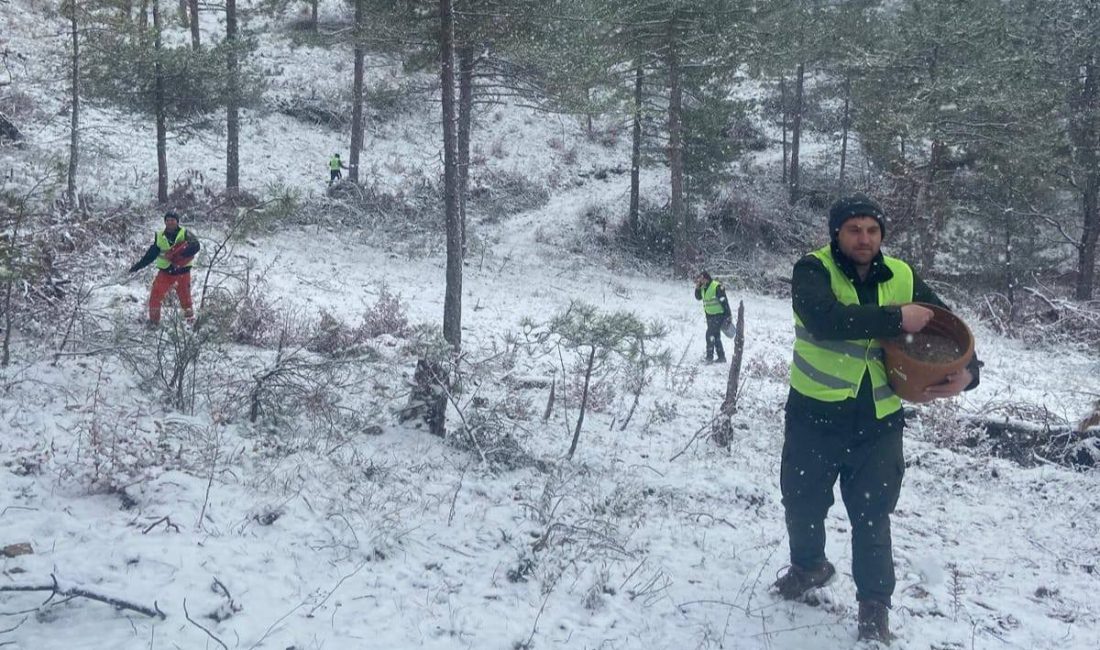Bursa Orman Bölge Müdürlüğü ekipleri tarafından, Keles ilçesinin karla kaplı