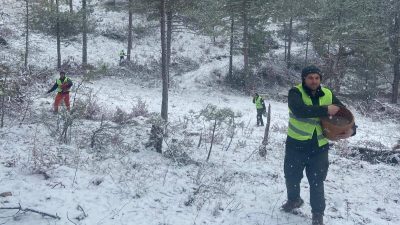 Bursa Orman Bölge Müdürlüğü ekipleri tarafından, Keles ilçesinin karla kaplı