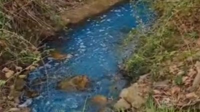 Bursa'nın Orhangazi ilçesinde, duyarsız bir vatandaşın zeytin ilacını dereye dökmesi