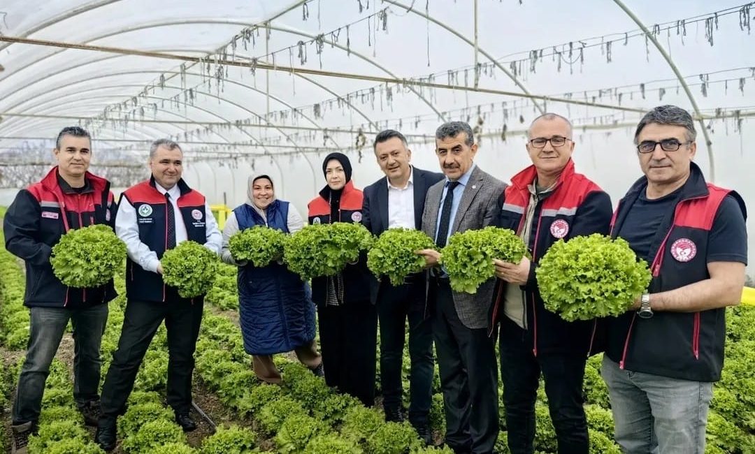 Bursa İl Tarım ve Orman Müdürlüğü, yaprağı yenen sebzelerde kalıntıyla