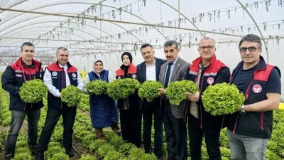 Bursa İl Tarım ve Orman Müdürlüğü, yaprağı yenen sebzelerde kalıntıyla