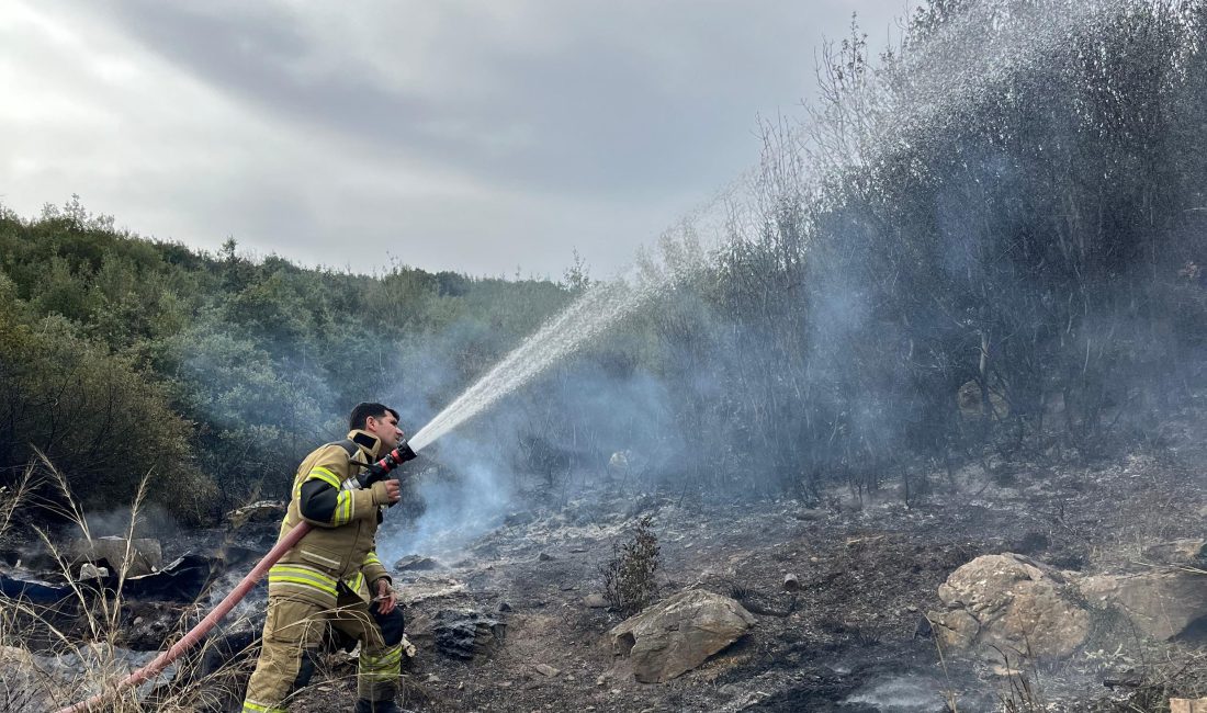 Bursa'nın Orhangazi ilçesine bağlı Gedelek Mahallesi yakınlarında çıkan çalılık yangını,