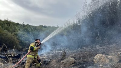 Bursa'nın Orhangazi ilçesine bağlı Gedelek Mahallesi yakınlarında çıkan çalılık yangını,
