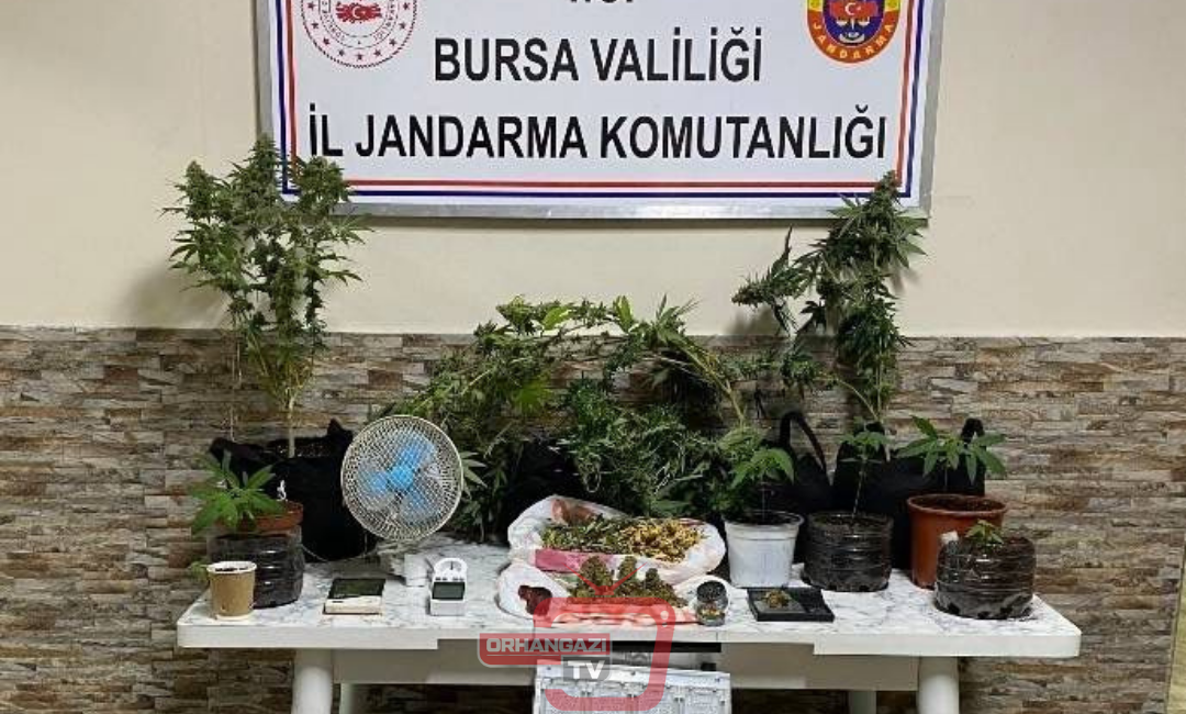 Bursa'da il Jandarma Komutanlığı tarafından yapılan takibi yapılan adreslere düzenlenen