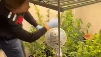 Bursa İl Jandarma Komutanlığı, Bursa Cumhuriyet Başsavcılığı koordinesinde yürüttüğü titiz