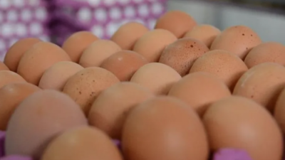 En ucuz protein kaynağı olarak görülen yumurta, bir süredir yükselen