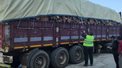 Bursa Orman Bölge Müdürlüğü ekipleri, orman ürünleri kaçakçılığının ve ormanlardaki
