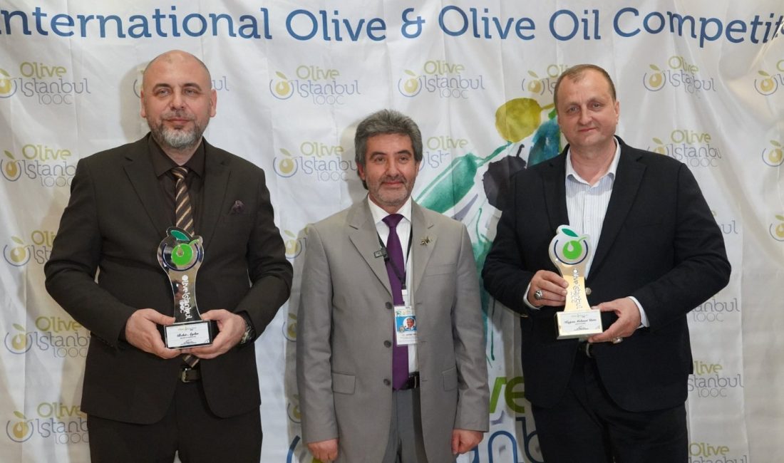 Bursa'nın zeytin diyarı  İznik ilçesi, 4. Uluslararası Sofralık Zeytin ve