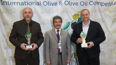 Bursa'nın zeytin diyarı  İznik ilçesi, 4. Uluslararası Sofralık Zeytin ve