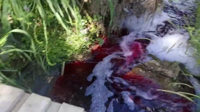Bursa’nın Turşusu ile ünlü Orhangazi ilçesine bağlı  Gedelek mahallesinde uzun