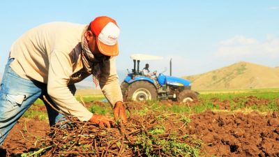Türkiye Ziraat Odaları Birliği (TZOB) Genel Başkanı Şemsi Bayraktar, çiftçi
