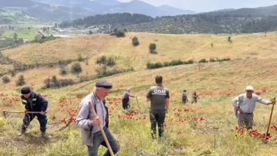 Bursa'nın Büyükorhan ilçesinde ormanlık alanda geçtiğimiz yaz çıkan orman yangınında