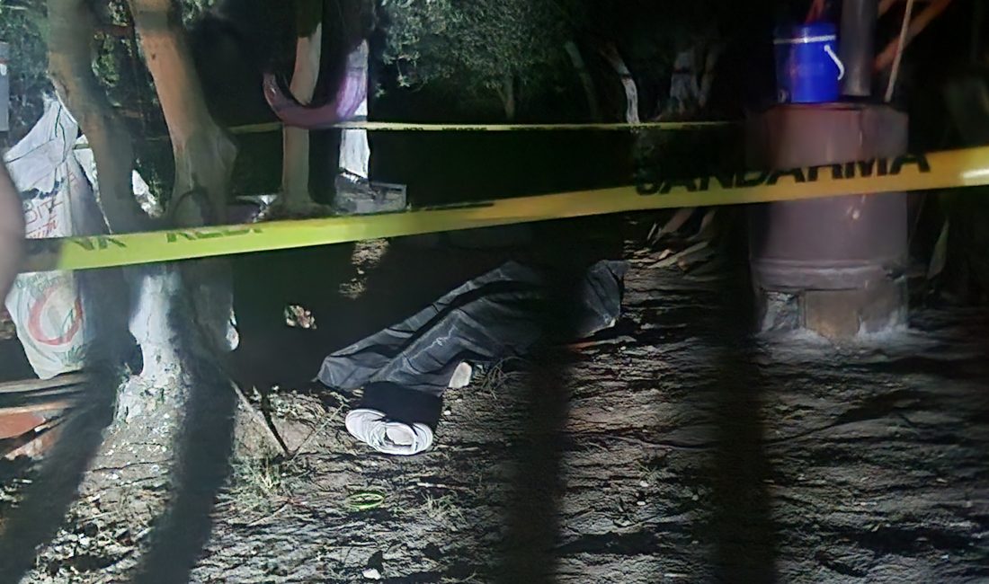 Bursa'nın Orhangazi ilçesinde meydana gelen korkunç olayda genç bir adam,