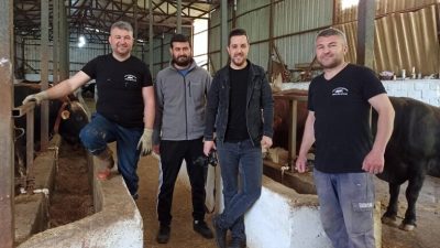 Kurban bayramına sayılı günler kala Orhangazi'de kurbanlık satışı yapan besiciler,