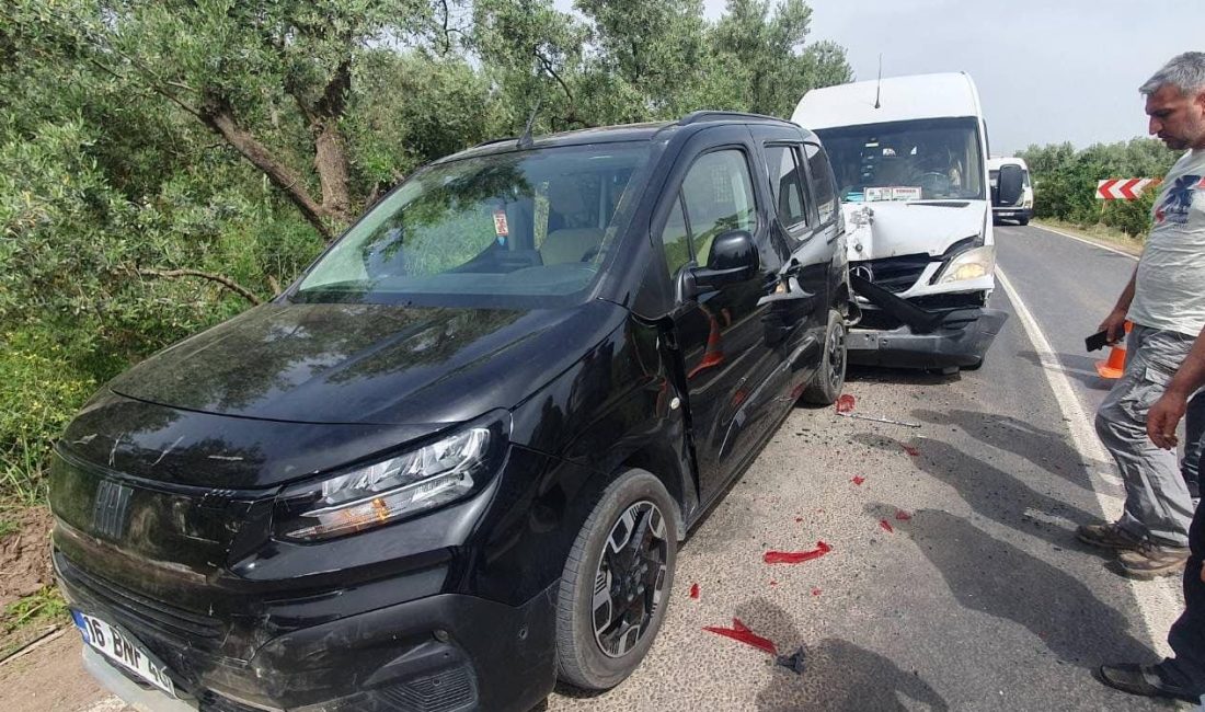 Bursa'da, Orhangazi - İznik Güney yolu üzerinde meydana gelen ve