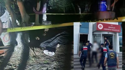 Bursa’nın Orhangazi ilçesinde geçtiğimiz Perşembe günü bir zeytinlik tarlası içinde