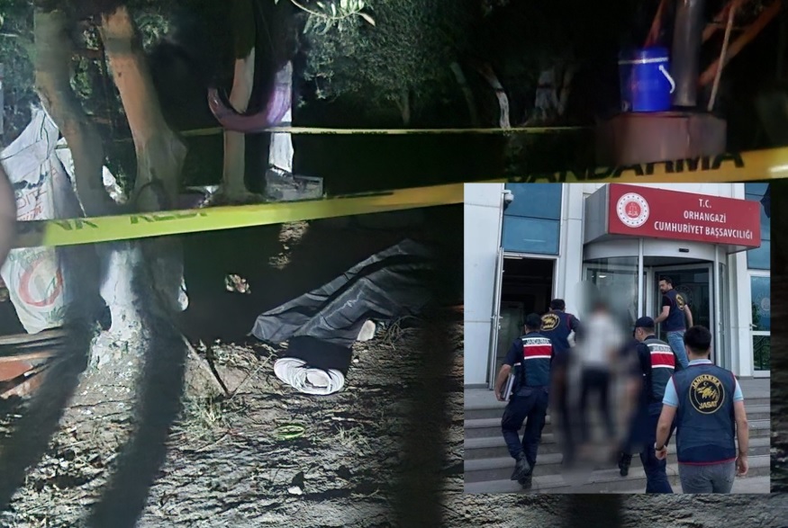 Bursa’nın Orhangazi ilçesinde geçtiğimiz Perşembe günü bir zeytinlik tarlası içinde