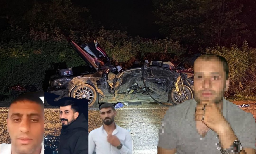 Bursa'nın Orhangazi ilçesinde yaklaşık iki hafta önce  meydana gelen