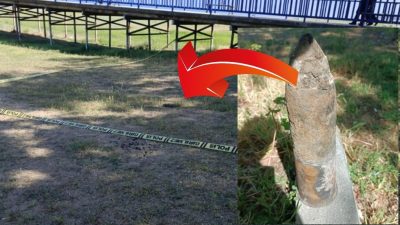 Bursa'nın Orhangazi ilçesinde İznik gölü kenarında küçük bir çocuk tarafından