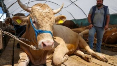 Türkiye Ziraat Odaları Birliği (TZOB) Genel Başkanı Şemsi Bayraktar, Kurban