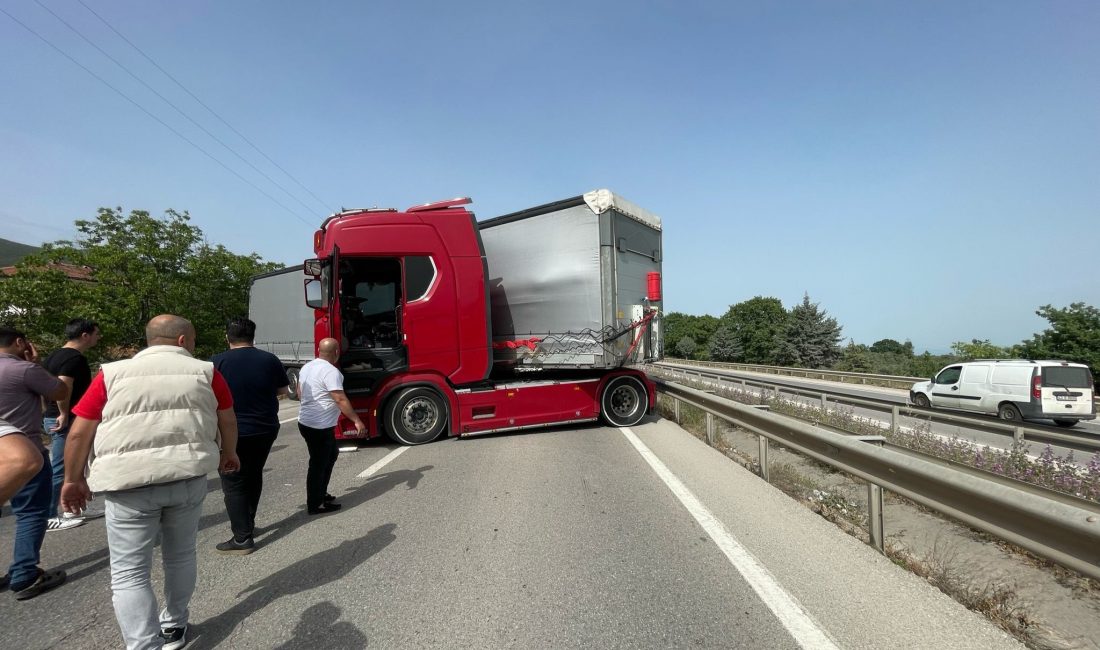 Bursa'nın Orhangazi ilçesinde meydana gelen olayda, iddialara göre sürücüsünün arı
