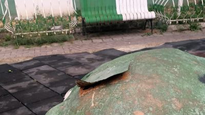 Bursa'nın Orhangazi ilçesinde şehir merkezinde bulunan Bursaspor parkı içindeki timsah