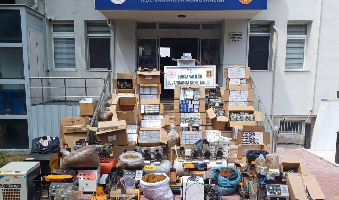 Bursa İl Jandarma Komutanlığı'na bağlı Gemlik İlçe Jandarma Komutanlığı ekipleri