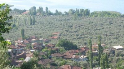 Bursa Kadastro Müdürlüğü, 30 Mayıs'tan itibaren İnegöl, Mudanya, Orhangazi ve