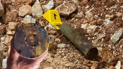 Bursa'nın Orhangazi ilçesinde İznik Gölü kıyısında bu sabah saatlerinde bulunan
