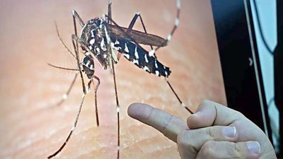 Yaz mevsiminin gelmesiyle meydana çıkan sivrisinek ve haşerelerden korunma yöntemleri