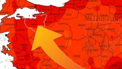Türkiye genelinde hava sıcaklıklarının artmasıyla birlikte kene popülasyonu da yükselişe