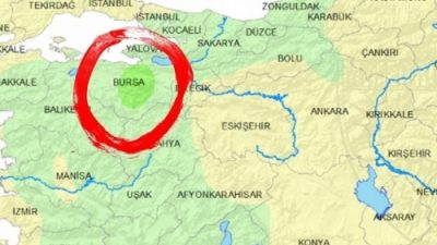 Bursa'da yaz mevsiminin gelmesiyle birlikte yılanlar gün yüzüne çıkmaya başladı.