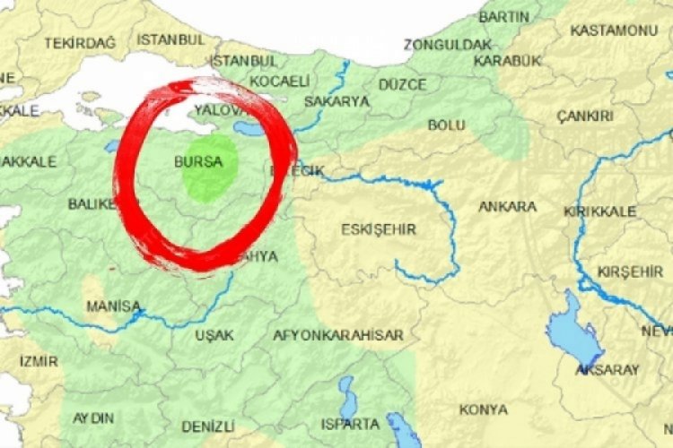 Bursa'da yaz mevsiminin gelmesiyle birlikte yılanlar gün yüzüne çıkmaya başladı.