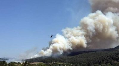 Bursa'nın Orhaneli ilçesine bağlı kırsal Girencik Mahallesi yakınlarında orman yangını