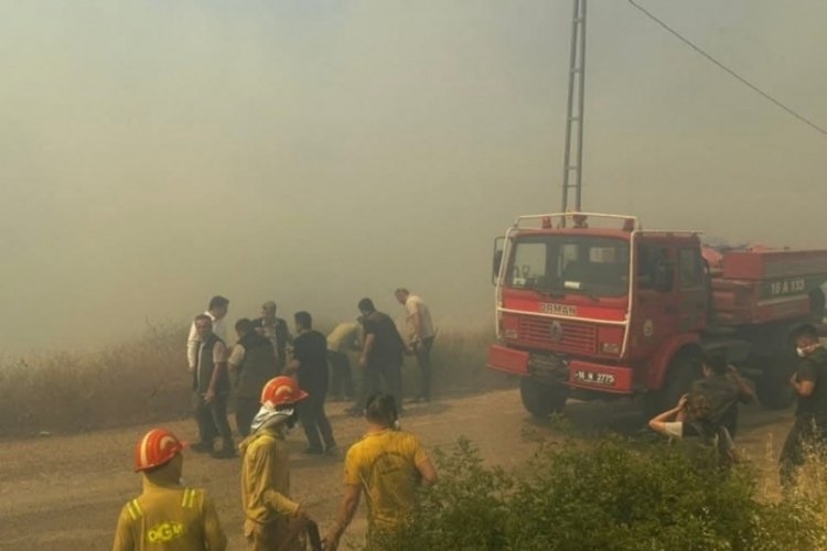 Bursa'nın Orhaneli ilçesi Girencik mahallesinde çıkan yangına çok sayıda ekip