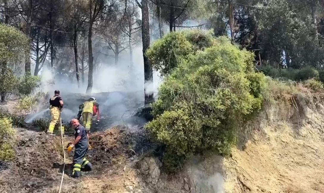 Gemlik'te bugün ağaçlık bir alanda meydana gelen yangın itfaiye ekiplerinin