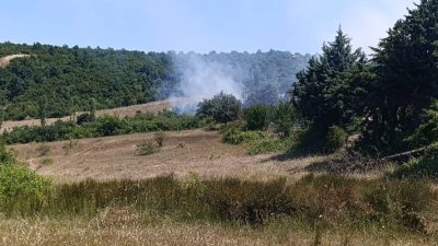 Bursa'nın Gemlik ilçesinde ormana yakın bir arazide çıkan otluk yangını,