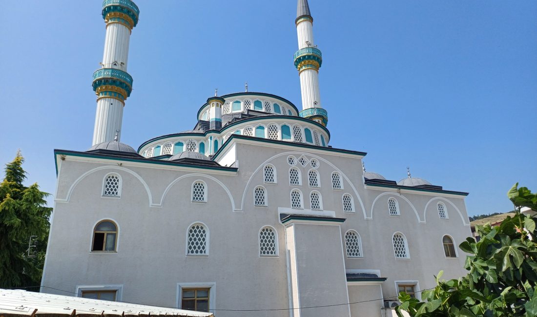 Bursa'nın Orhangazi ilçesine bağlı Yeniköy Mahallesi cami imamı, Cuma namazında