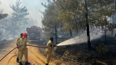Orman yangınlarıyla mücadelede kullanılan bilimsel yöntemler hakkında sosyal medyada dolaşan