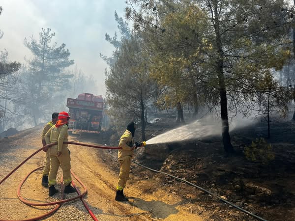 Orman yangınlarıyla mücadelede kullanılan bilimsel yöntemler hakkında sosyal medyada dolaşan