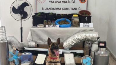 Yalova İl Jandarma Komutanlığınca, düzenlenen uyuşturucu operasyonunda O.D. adlı şüphelinin