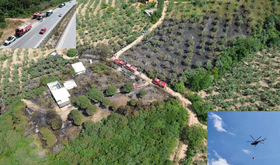 Bursa'nın Gemlik ile Orhangazi ilçesi arasında bulunan, ormanlık alandaki bir