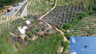 Bursa'nın Gemlik ile Orhangazi ilçesi arasında bulunan, ormanlık alandaki bir