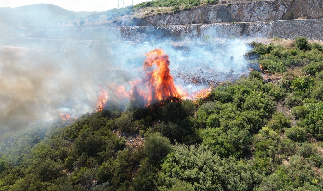 Bursa'da Orhangazi – Gemlik yolu üzeri Gedelek Mahallesi yakınlarında makilik