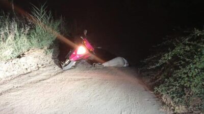 Bursa'nın Orhangazi ilçesinde İznik Gölü kenarında meydana gelen olayda, afgan