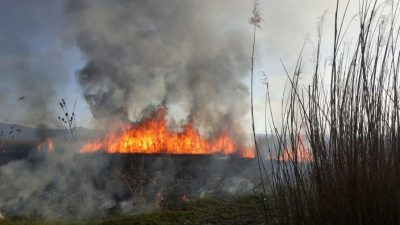 Haziran ayı itibariyle artış gösteren hava sıcaklıkları son günlerde rekor