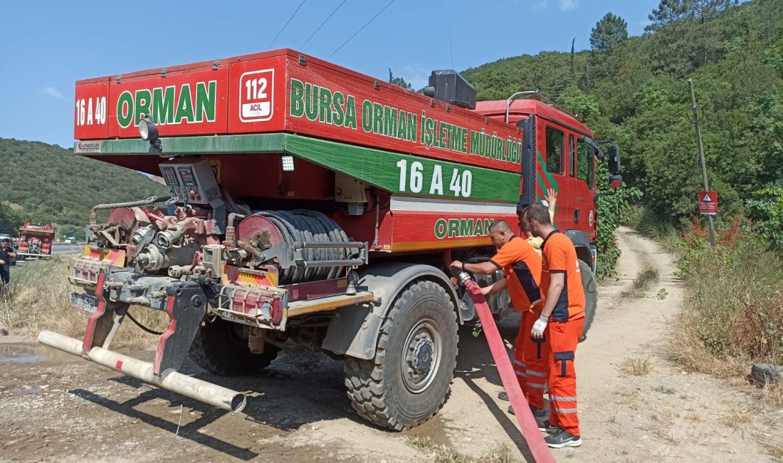 Bursa'da Bugün öğleden sonra Gemlik-Orhangazi yolu üzerinde ormanlık alanda bulunan