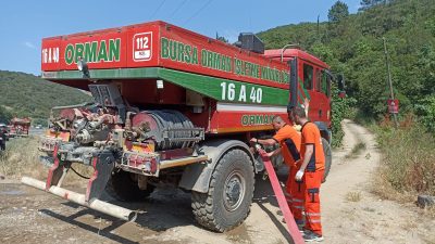 Bursa'da Bugün öğleden sonra Gemlik-Orhangazi yolu üzerinde ormanlık alanda bulunan