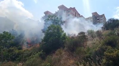 Bursa'nın Orhangazi ilçesinde otluk alanda çıkan ve  rüzgarında etkisi ile